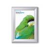 A4 Snap Frame - Tamper-proof - Rounded Corners (20 mm) - 12