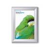A4 Snap Frame (20 mm) - 9