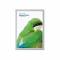 Snap Frames &amp; Poster Frames