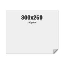 FlexFrame Wall Graphic 300 x 250 cm