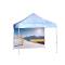 Tent Prints Full Wall Inside