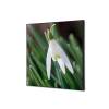 Textile Wall Decoration SET A2 White Flower Snowdrop - 0