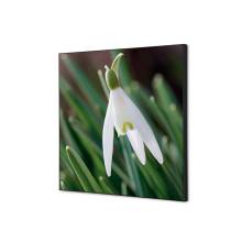 Textile Wall Decoration White Flower Snowdrop Textile Wall Decoration White Flower Snowdrop