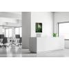 Textile Wall Decoration SET A2 White Flower Snowdrop - 5