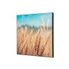 Textile Wall Decoration SET A2 Grain Field - 0
