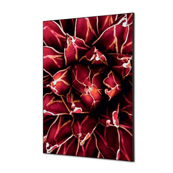 Textile Wall Decoration SET A1 Cactus Red