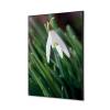 Format: A2 (420 x 594 mm) Textile Wall Decoration SET A2 White Flower Snowdrop - 1