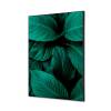 Format: A2 (420 x 594 mm)
Colour: Green Textile Wall Decoration SET A2 Botanical Leaves Red - 8