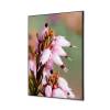 Textile Wall Decoration SET A2 Pink Flower Erica - 1