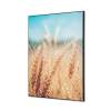 Textile Wall Decoration SET A2 Grain Field - 1
