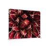 Textile Room Divider 200-150 Cactus Red - 3