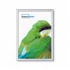 A2 Snap Frame - Tamper-proof - Rounded Corners (32 mm) - 0